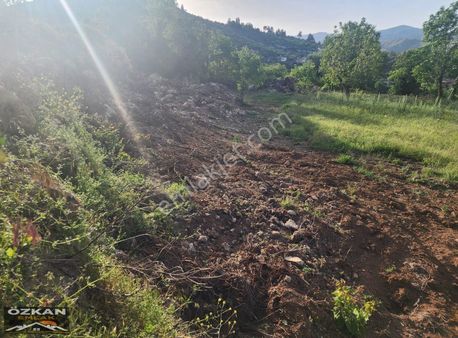 Özkan Emlaktan Kavaklıdere Çayboyunda Satılık Tarla