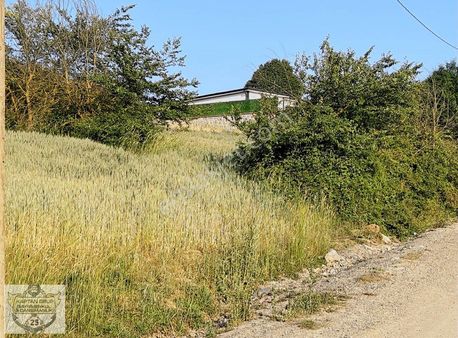 Sipahiler Gişe Çıkışına Yakın 1300 Metre Yola Cephesi 14.50