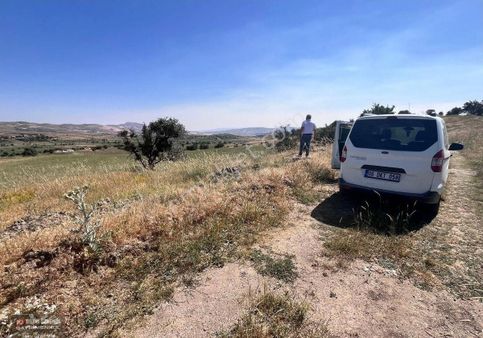 Ayaş Başbereket De Kadastro Yola Cephe 12 Dönüm Arazi.