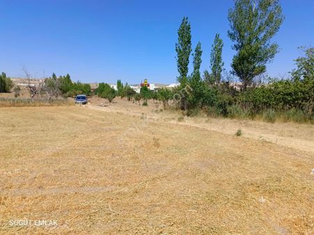 Söğüt Emlak'tan İscehisar'da Satılık Hobi Bahçesi
