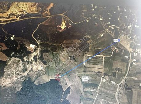 Ayma'dan Güngörende Köye Yakın 225 M2 Hisseli Tarla