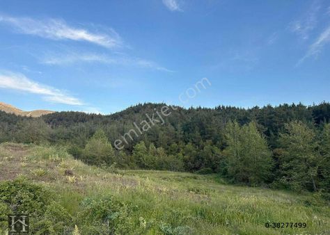 Hasan Akın Gayrimenkulden Satılık Tarla