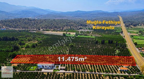 Tuana Gayrimenkul'den Döğüşbelen'de 11.475m² Tarla