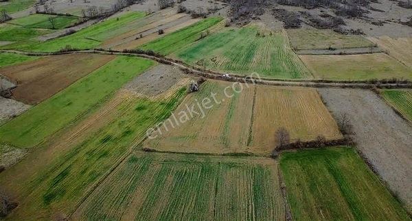 Yatırımlık Fırsat Tarla