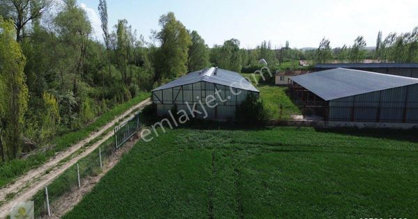 Uluçayır Mahallesinde Köy Yakını Satılık Çiftlik