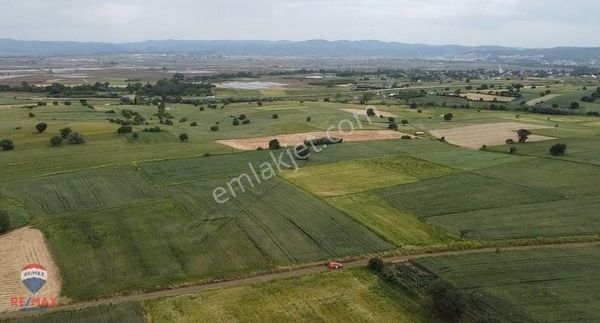 Remax Canbek Tarba Güleçköy- Kadastral Yola Cephe