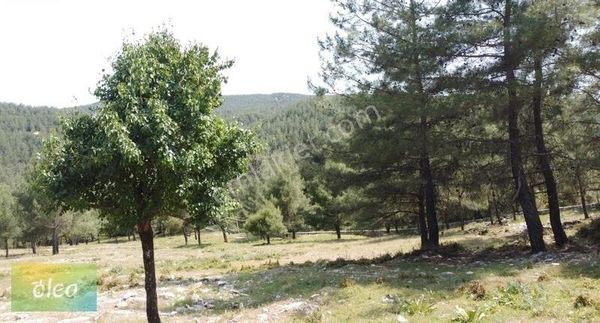 Muğla Yatağan Kozağaç Mahallesinde Satılık Tarla