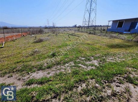 Aliağa Helvacı'da Pay Mülkiyetli Satılık Tarla