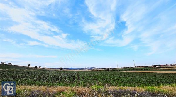 Enez'in En Gelişmiş Köyünde Ev Yapımına Uygun 7.5 Dönüm Arazi