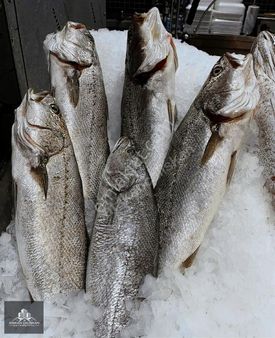 Güzelbahçe - Devren Kiralık Alkollü Balık İşletmesi