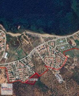 Ayvalık Sakarya Mahallesin De Satılık Zeytinlik