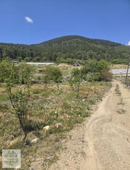 Antalya Konyaaltı Geyikbayırı Sinan Değirmeni Kupon Tarla