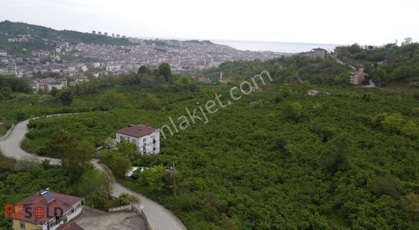 Resolddan Çatalpınarda Müstakil Tapulu 5.000 M2 Satılık Arsa..!