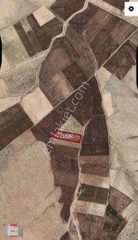 Aras Gyo.'dan Yağlı Bayat Mahallesinde Yatırımlık Tarla