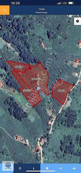 Alibey'den Terme Kocaman Mah.de Satılık 30 Dönüm Evli Fındıklık