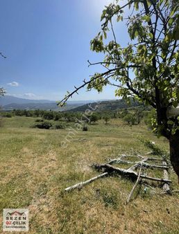 Çanakkale Bayramiç Gedik Köyünde Satılık Arazi