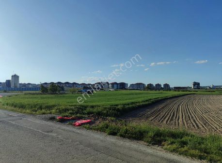 Asel'den Z. Tepe İmar Komşu 5773 M2 Tarla(ağaçköy Girişi)