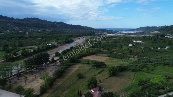 Z Grup Taşlıca Mah. Asma Köprü Yanı Yeri Konumu Süper 4 Dönüm Satılık Arsa