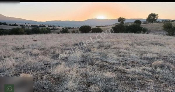 Burdur Gölhisar Çamköy'de 2400m2 Müstakil Tapulu Tarla