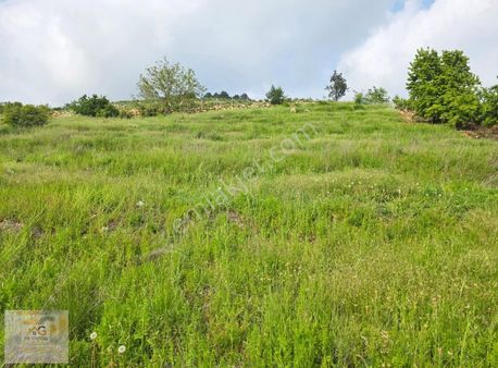Mersin Toroslar Yüksekoluk Mah.'de 2.684m2 Satılık Tarla
