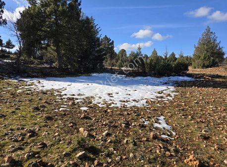 Mersin Erdemli Harfilli Mah.'de Satılık Tarla