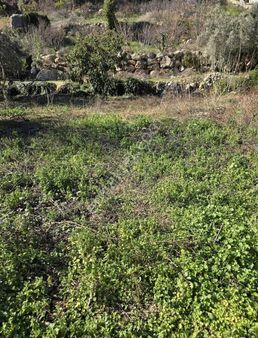 Mersin Yenişehir Çukurkeşlik Mah.'de 2 Kata İmarlı Satılık Tarla