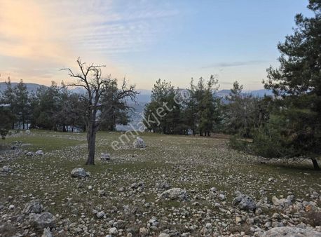 Mersin Yenişehir Çukurkeşlik Mah.'de Satılık Tarla