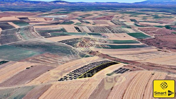 Kirazlı'da 2350 M² Satılık Tarla