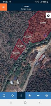 Muğla Milas Bafa Da Akbük Realty World Doğa Gayrımenkul Güvencesiyle Satılık Zeytinlik.