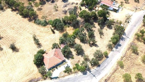 Tek Yetikili Aktiften Bahadınlıda Hayallerin Ötesinde 18 Adet Zeytin Ağacı Satılık 2+1 Müstakil Ev