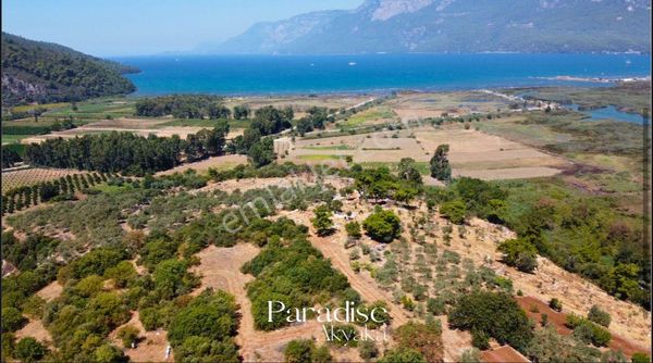 Ula Gökçede Deniz Manzaralı 600 M2 Koop Hissesi Satılık