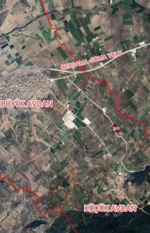 Yeliz'den Manisa Soma'da Asfalt Kenarı Zeytinlik