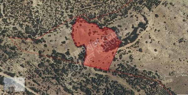 Mehmet Kurubaş Emlak'tan Tavullar Mah. Satılık 9.700 M2 Arsa