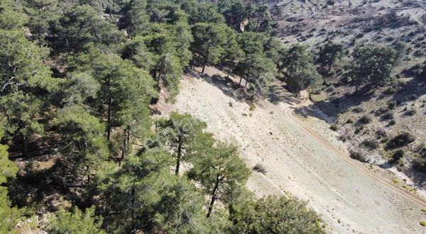 Antalya Kaş Akörü'de Satılık 10933m2 Tarla