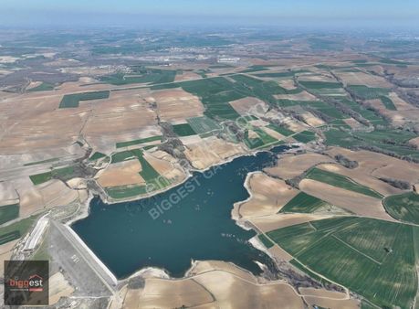 Tekirdağ Süleymanpaşa Ferhadanlı Da Fırsat Tarla