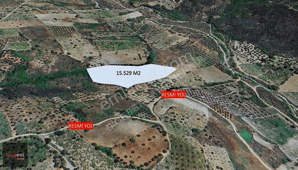 Şarköy Mursallı'da Doğa İçinde 15.529 M2 Arazi
