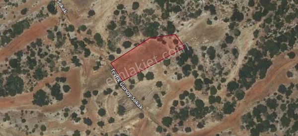 Zümrüt'ten Erdemli Sarıkaya'da Satılık 2185 M2 Satılık Tarla