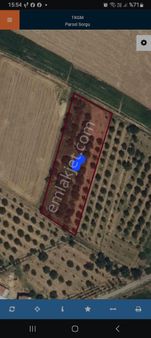 Battalgazi Alişarda Satılık Bahçe