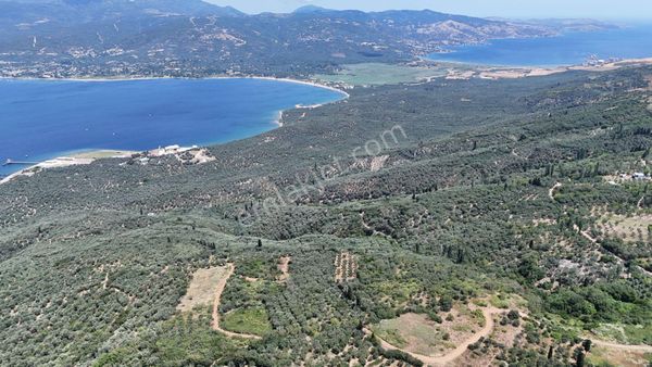 Çalışkanlar Gyo'dan Edincik'te Satılık 3480 M2 Satılık Fırsat!