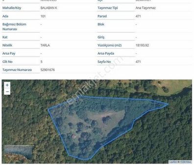 Kırklareli Demirköy Balaban Köyü Orman Arazisi Satılık Arsa
