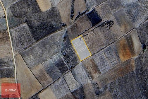 Tekirdağ Hayrabolu Lahanada Bereketli Yatırım Fırsatı Tarla