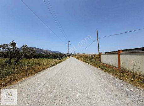 Atakul Gayrimenkul-armutlu'da Asfalt Yola Cepheli 6505m2 Arazi