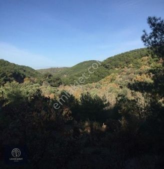 Bölgenin En Uygun Fiyatlı Arazisi. Hacıhüseyinler Köyü 4 Dönüm.