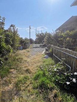 İsabeyli Yeşildere De