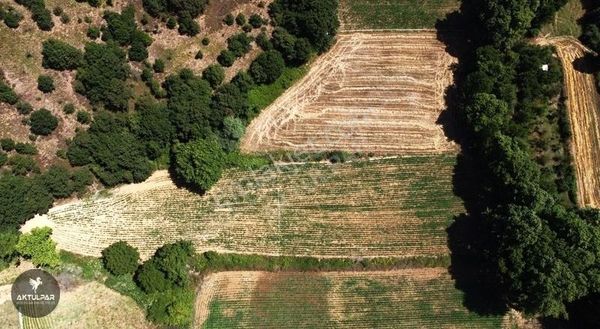 Çanakkale Biga Satılık Tarla 4800 M2