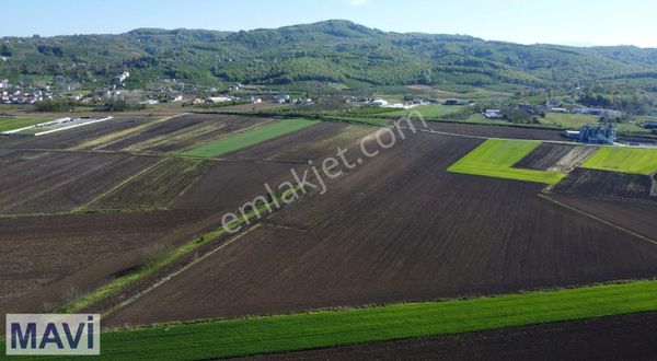 Serdivanda Satılık Tarla 10529m² Re/max Mavi Tuncay Şen'den