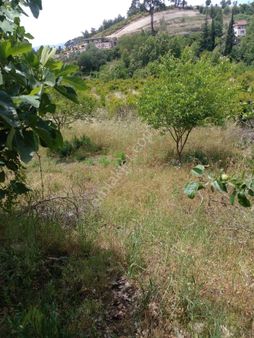 Arkadaş İnşaat Emlaktan Antalya Kumluca Da Satılık Bahçe