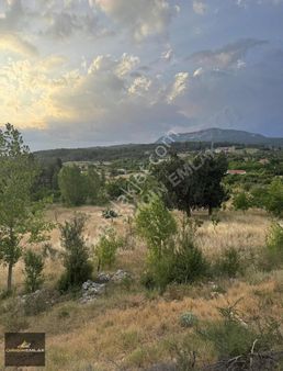 🏡 Kaş Üzümlü Yaylası’nda 2b Statülü, Yola Sıfır, Orman Manzaralı Araziler!