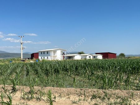 Milas Koru'da 7.5 Dönüm Yola Sıfır Tarla