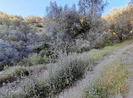 Tam Yatırımlık İmar Dibi Denize Çok Yakın Yüksel Hudut Emlakta